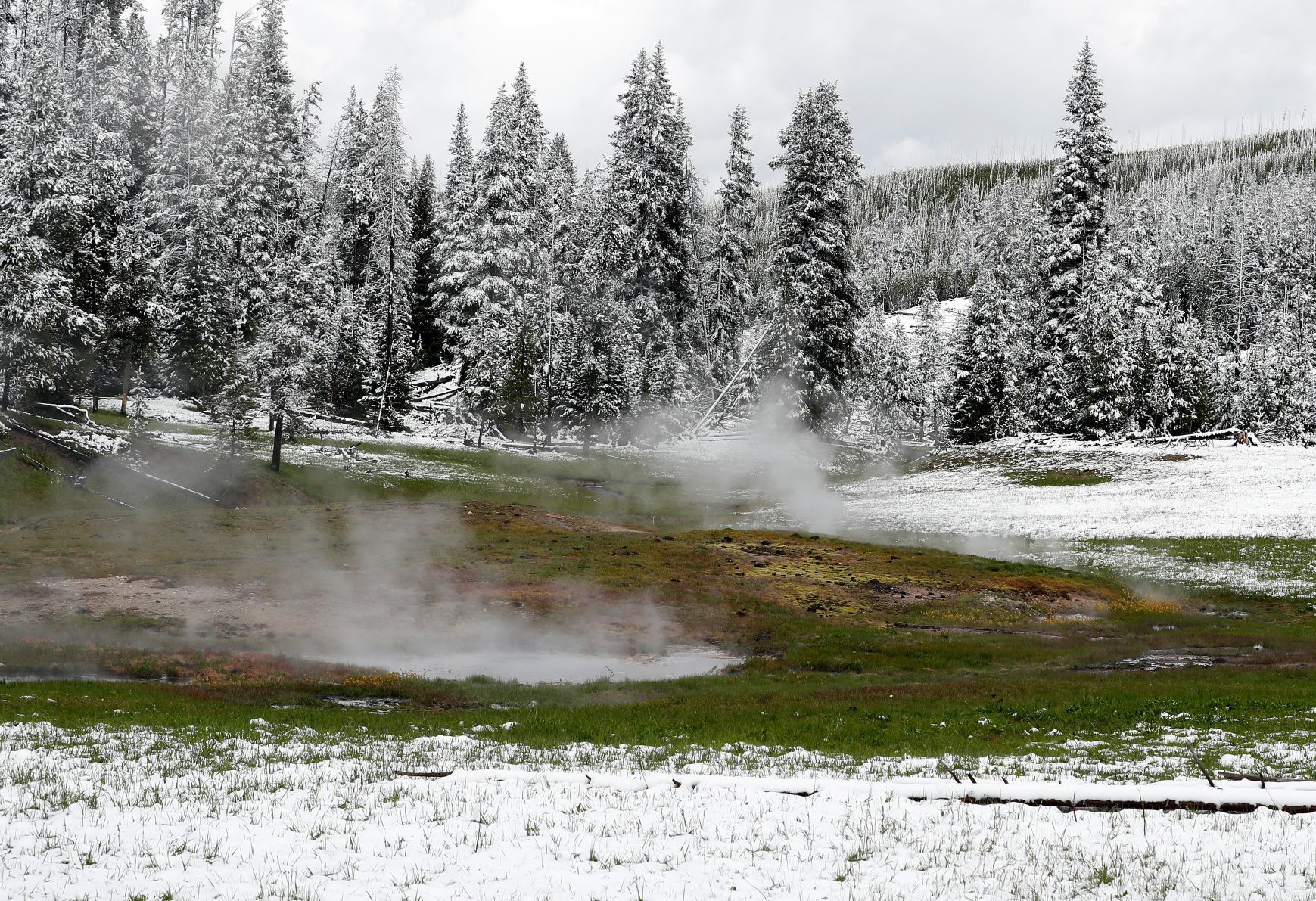 Clearwater Springs